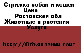 Стрижка собак и кошек › Цена ­ 1 000 - Ростовская обл. Животные и растения » Услуги   